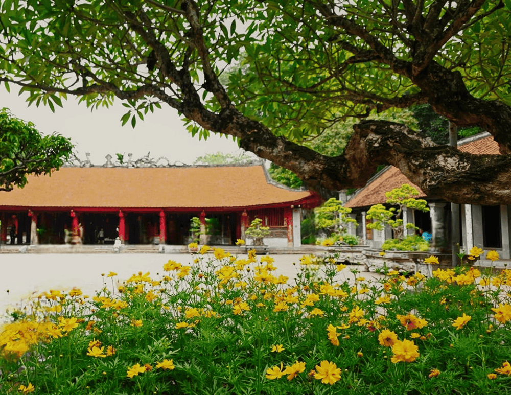 Nhà Thái Học từng được sử dụng để giảng dạy, đào tạo các bậc nhân tài. (Nguồn: Facebook page Di tích Văn Miếu-Quốc Tử Giám)